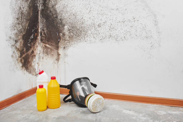 Best Mold Prevention Services  in Taft Mosswood, CA